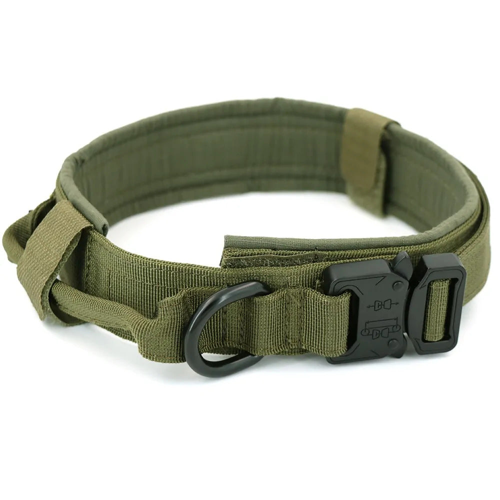 Dog Collar Dog Collar